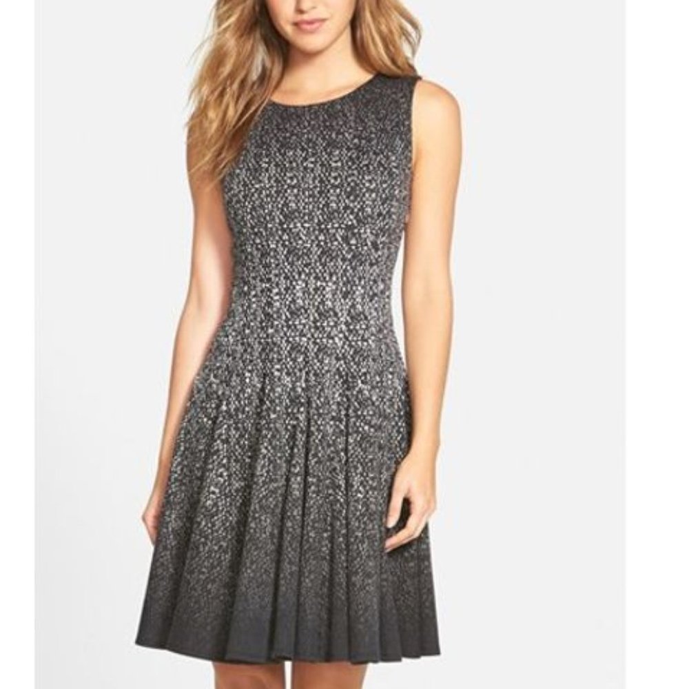 Eliza J Fit and Flare Black and White Ombre Dress